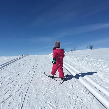 Ferienhaus Spacious In